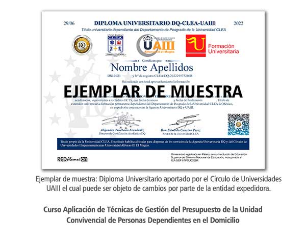 Diploma Universitario Aplicación de Técnicas de Gestión del Presupuesto de la Unidad Convivencial de Personas Dependientes en el Domicilio Formación Universitaria