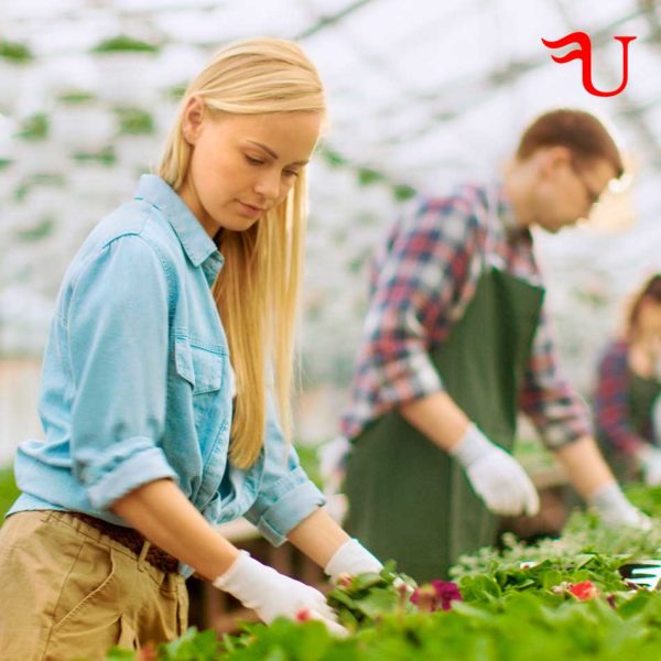 Curso Acondicionamiento de Instalaciones en Horticultura y Floricultura Formación Universitaria