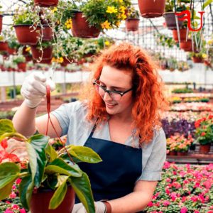 Curso Almacenamiento en Horticultura y Floricultura Formación Universitaria