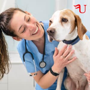 Cursos básico Programa Vacunal en Animales Domésticos Formación Universitaria
