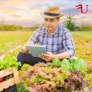 Curso Buenas Prácticas y Prevención de Riesgos Relacionados con el Control Fitosanitario en la Horticultura y Floricultura Formación Universitaria