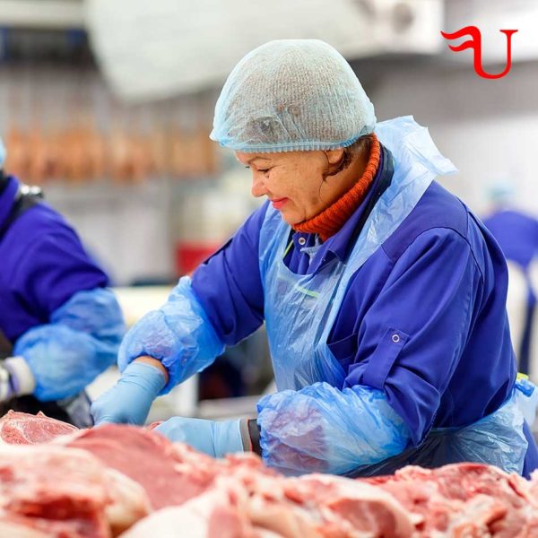 Curso Conservación y Mantenimiento de la Carne en la Industria Formación Universitaria