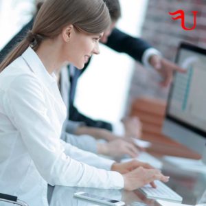Curso Módulos de un Sistema ERP Formación Universitaria