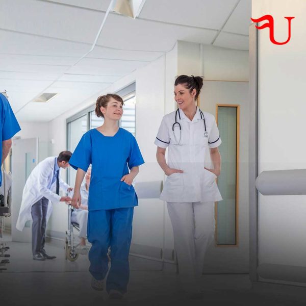 Curso de Protocolos del Auxiliar de Enfermería con la Acreditación de la Universidad Nebrija Formación Universitaria