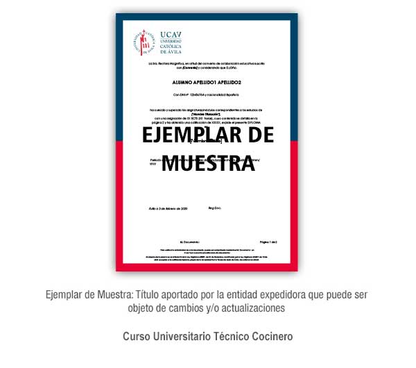 Diploma Título Curso Universitario Técnico Cocinero Formación Universitaria