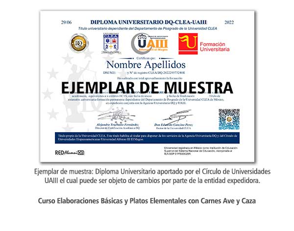 Diploma Universitario Elaboraciones Básicas y Platos Elementales con Carnes Ave y Caza Formación Universitaria
