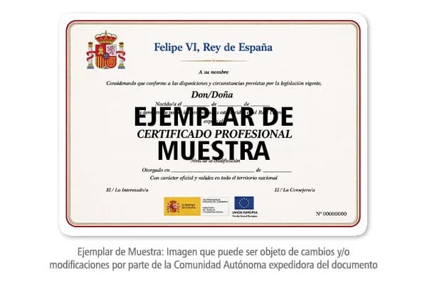 Título Certificado Profesional Montaje y Mantenimiento de Instalaciones Eléctricas de Baja Tensión (ELEE0109)