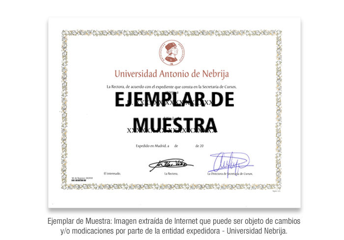 Diploma de Especialización en Consultoría Empresarial acreditado por la Universidad Nebrija formacion universitaria