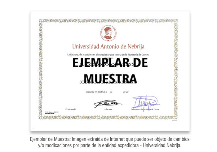 Diploma de Especialización en Mercadotecnia acreditado por la Universidad Nebrija formacion universitaria