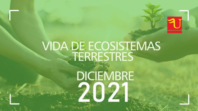 agenda 2030 vida de ecosistemas terrestres